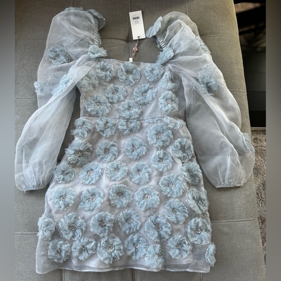NWT LOVESHACKFANCY Wells appliquéd organza mini dress in blue size 4 - Picture 8 of 12